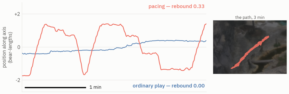 Pacing traced as a square wave against ordinary play as a wandering line, with rebound scores, beside the worn path drawn over the real enclosure